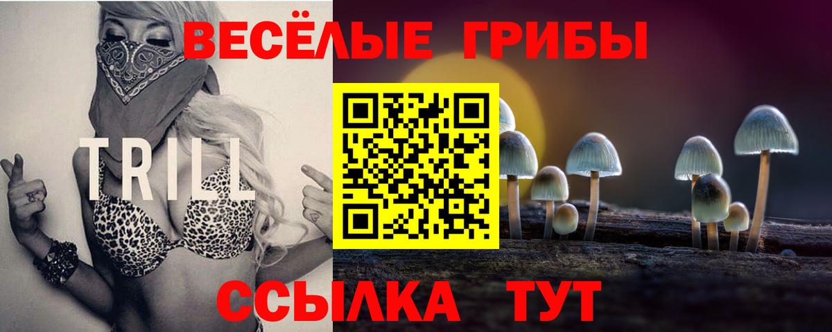 Галлюциногенные грибы ЛСД Асино